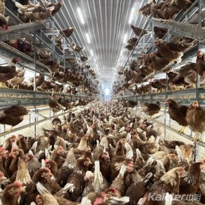 Aviary system