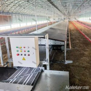 Layer free range system