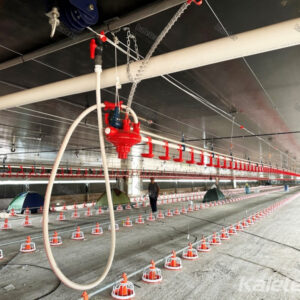 Drinking system(Brolier equipment)