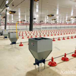Pan feeding system(Brolier equipment)